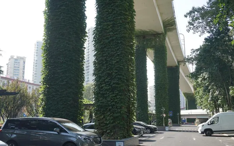 台湾城市绿化率