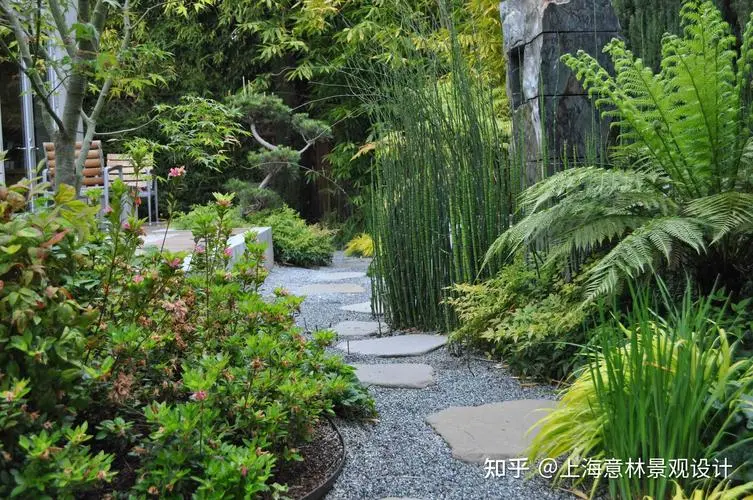 米乐：双鸭山绿化苗木市场转移
