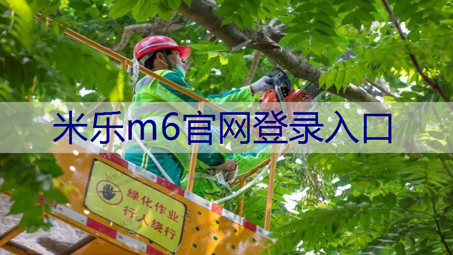 大舆城三期绿化工程