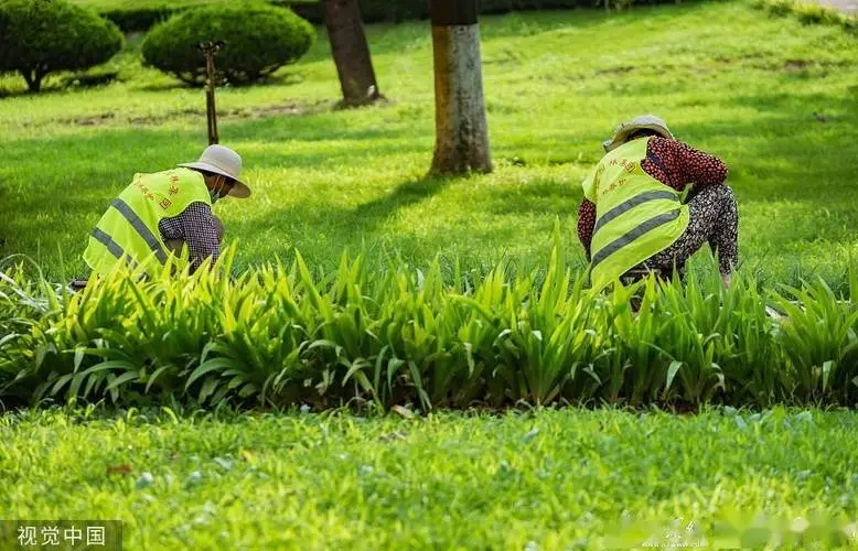 米乐：HKU香港大学园林建筑面试如何脱颖而出？看这里！