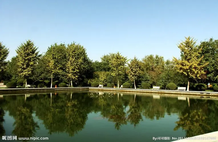 米乐：太阳能光伏花：智慧厂区的绿色明珠，能源与美学的完美融合
