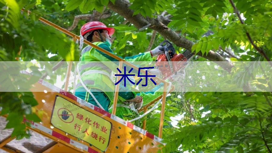 米乐官网：绿化工程如何才能计算出工程利润