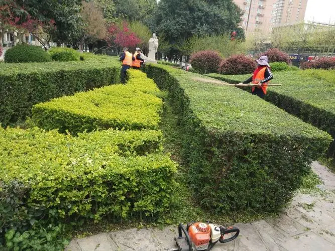 花园园林景观设计方案