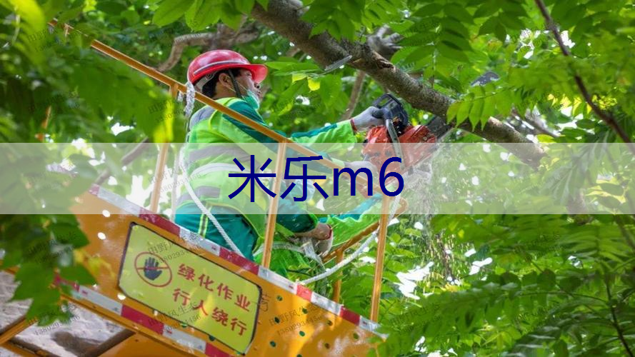 绿化工程如何才能计算出工程利润